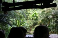 Fabeln - Besuch im Zoo