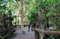 Fabeln - Besuch im Zoo