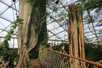 Fabeln - Besuch im Zoo