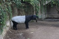 Fabeln - Besuch im Zoo
